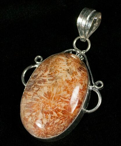 Beautiful Fossil Coral Pendant #5583